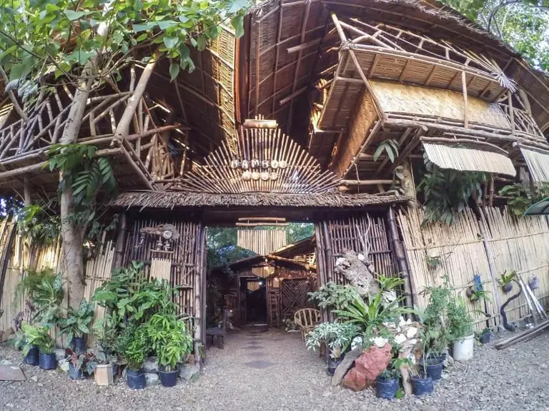 Bamboo Nest accommodation image