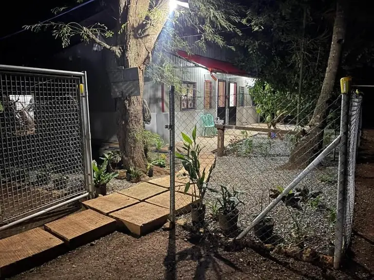 night view of a fenced entrance with stone steps leading to a lit building and trees around